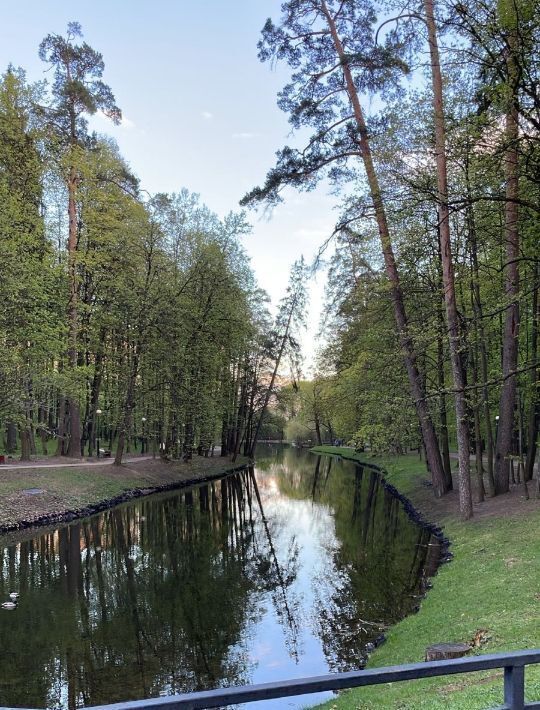 квартира г Красногорск Павшино Тёплый бетон ул Школьная 11 фото 32