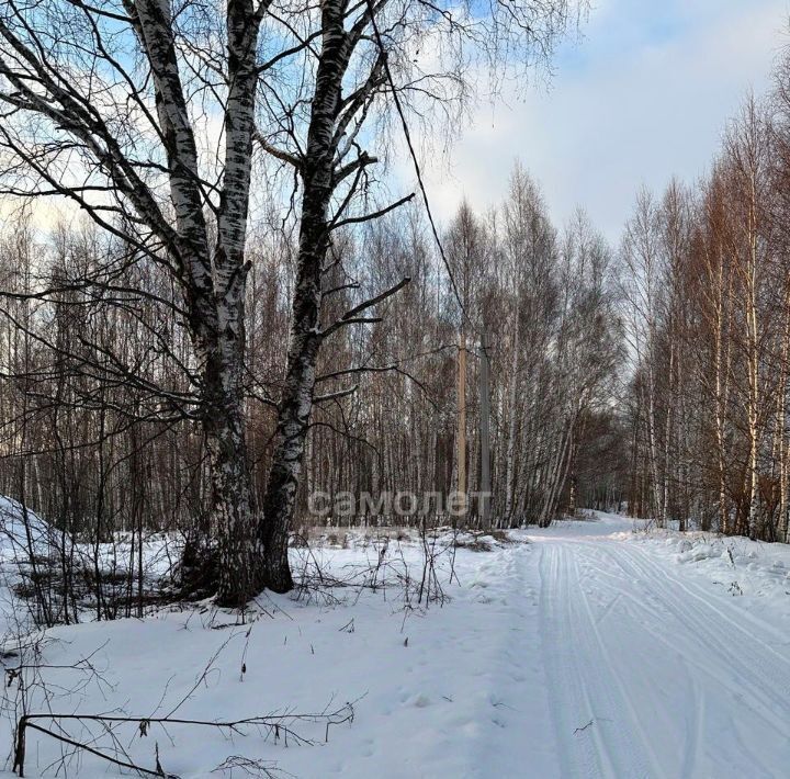 земля г Бор д. Приклонное фото 2