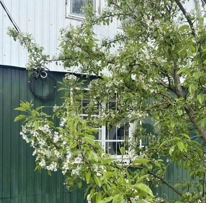 дом г Воронеж р-н Советский снт тер.Дзержинец-1 ул Малиновая 55 фото 27