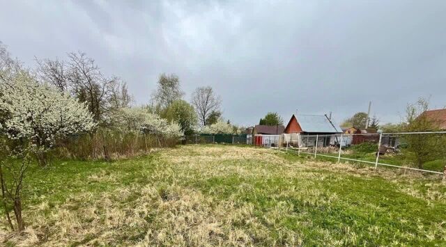 снт Сувенир Раменский муниципальный округ фото
