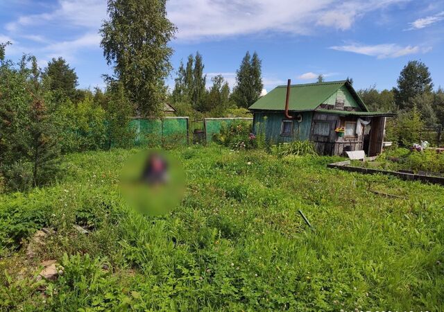 р-н Красносельский коллективное огородничество Сосново-Полянское фото
