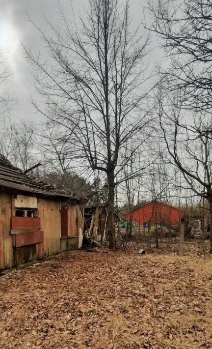 офис г Зеленогорск Курортный ул Мира 1 фото 2