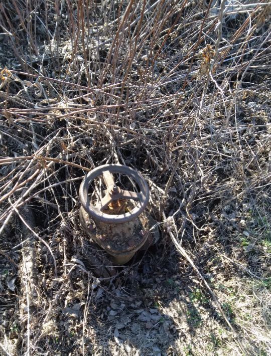 земля г Ульяновск р-н Заволжский Машзавода имени Володарского СНТ фото 6