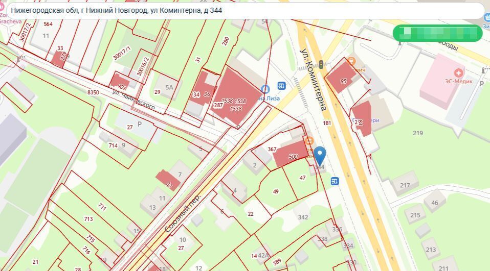 земля г Нижний Новгород Буревестник ул Коминтерна 344 фото 4