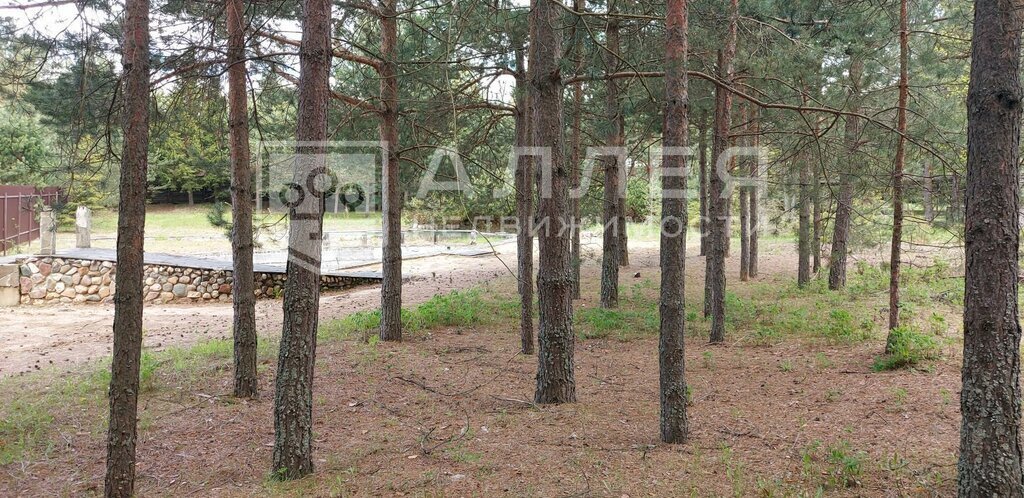 земля г Истра коттеджный посёлок Красновидово-2, Нахабино фото 10
