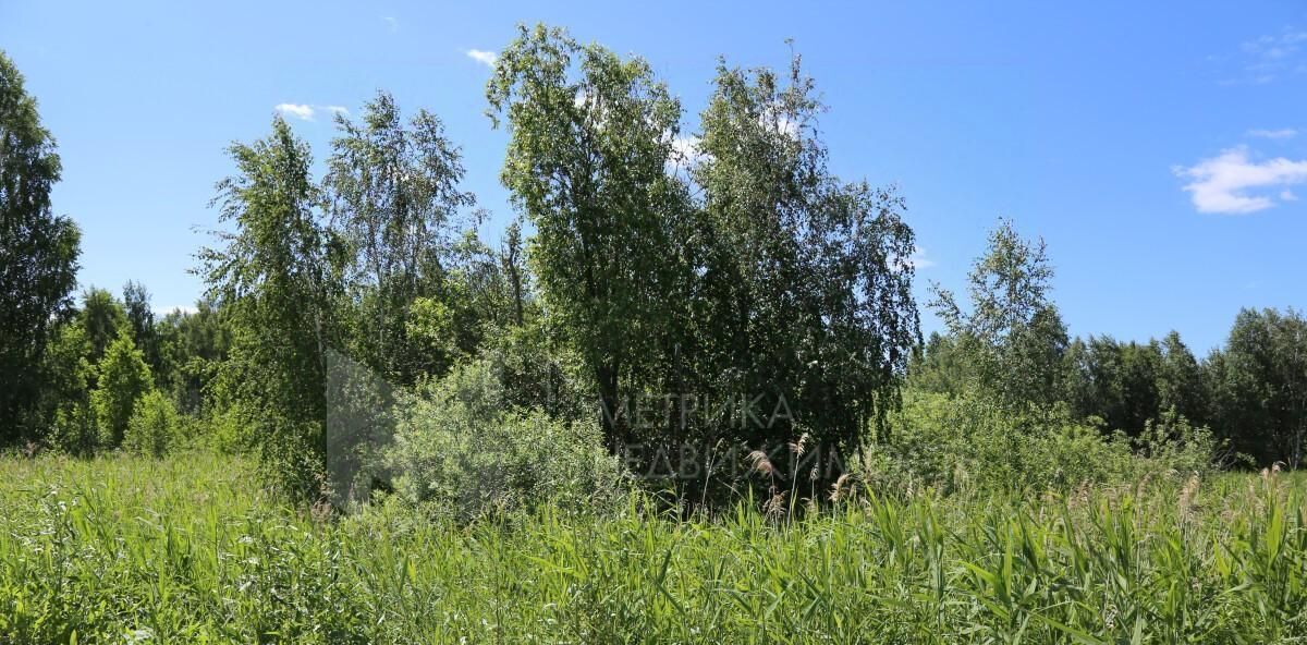 земля г Тюмень р-н Центральный снт Поле чудес-2 ул Цветочная 138 фото 2
