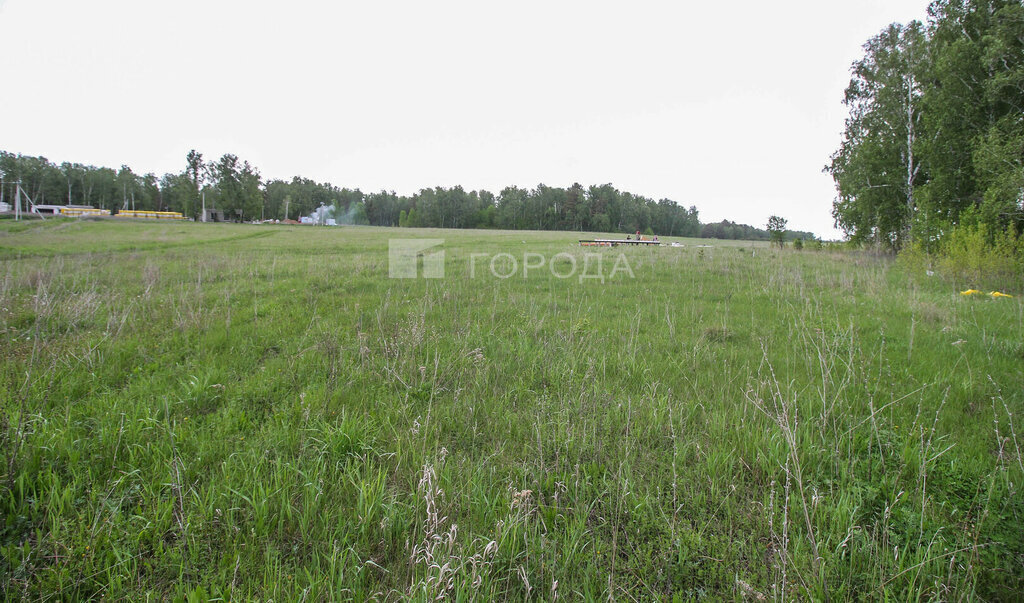 земля г Барнаул фото 2