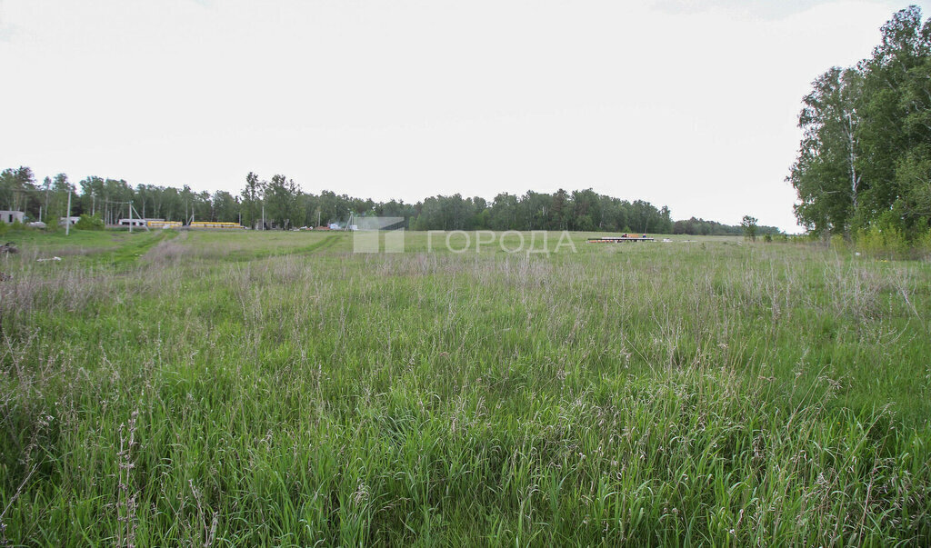 земля г Барнаул фото 3