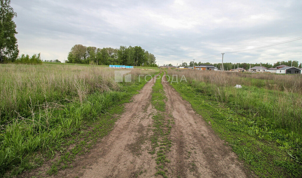 земля г Барнаул фото 2