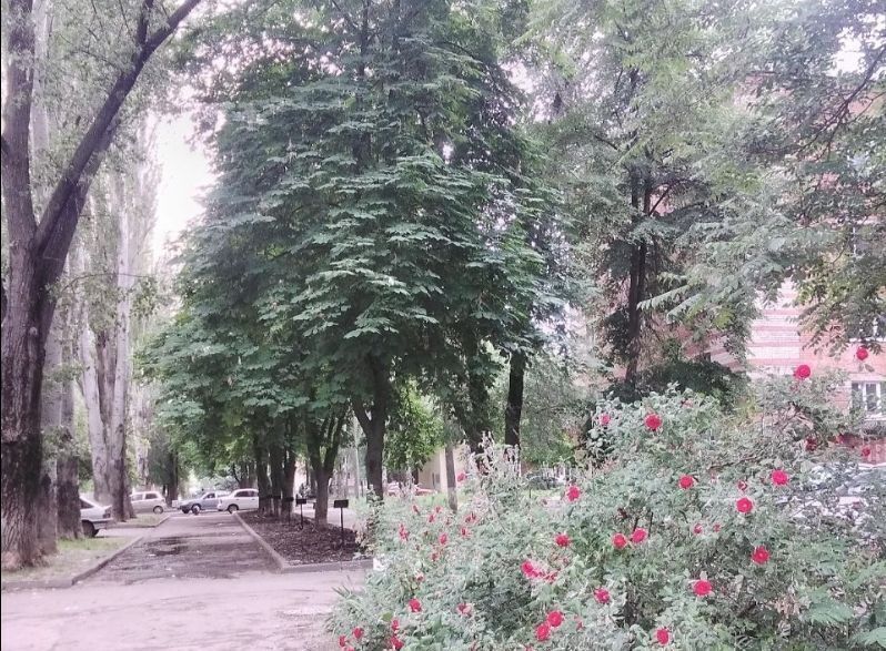 комната г Таганрог ул Пальмиро Тольятти 24/3 фото 6