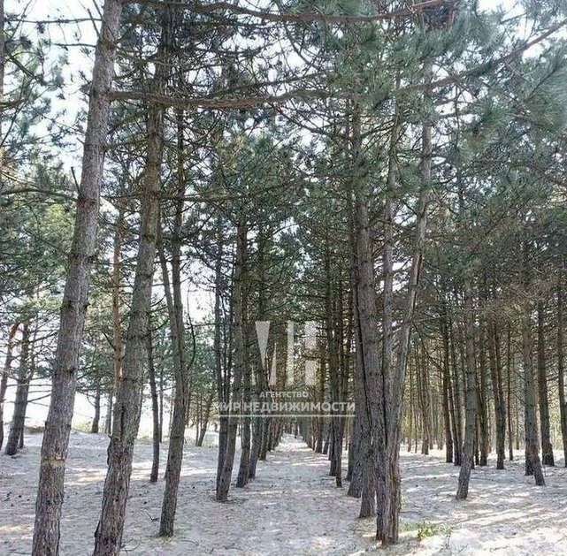 дом р-н Зеленоградский г Зеленоградск ул Приморская 2 Поле 1-27 СНТ фото 12