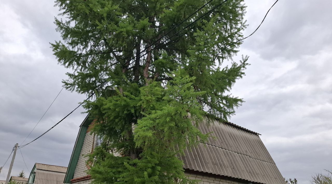 дом г Саратов р-н Октябрьский снт терПолянка фото 35