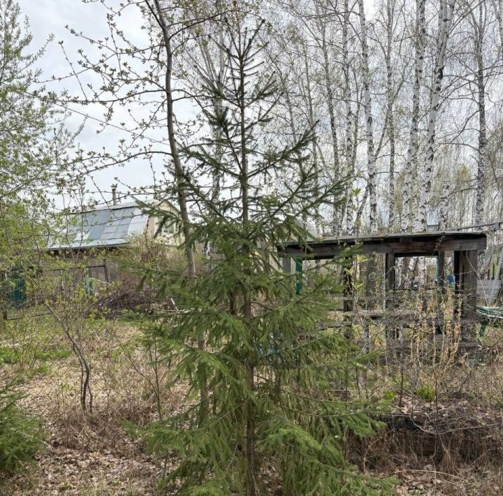 дом г Челябинск р-н Советский снт Прогресс 23-й кв-л, 700 фото 14