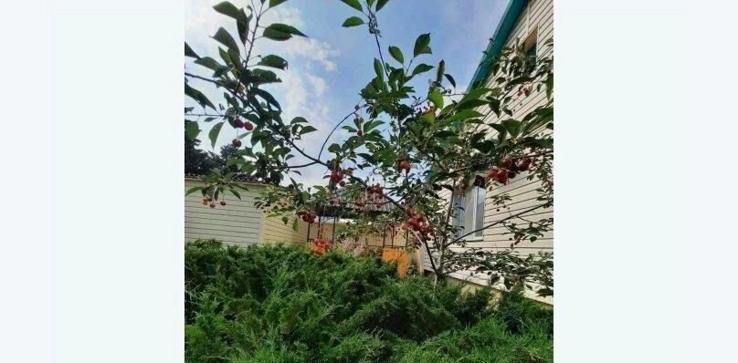 дом г Судак с Солнечная долина ул Матвиенко 13 фото 3