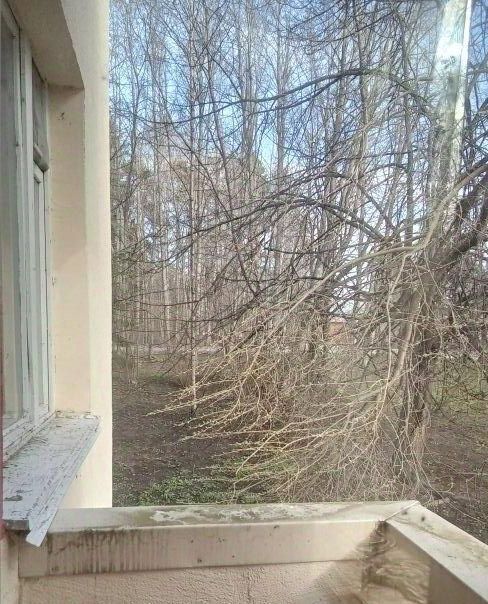 квартира г Зеленогорск Курортный ул Комсомольская 10 фото 20
