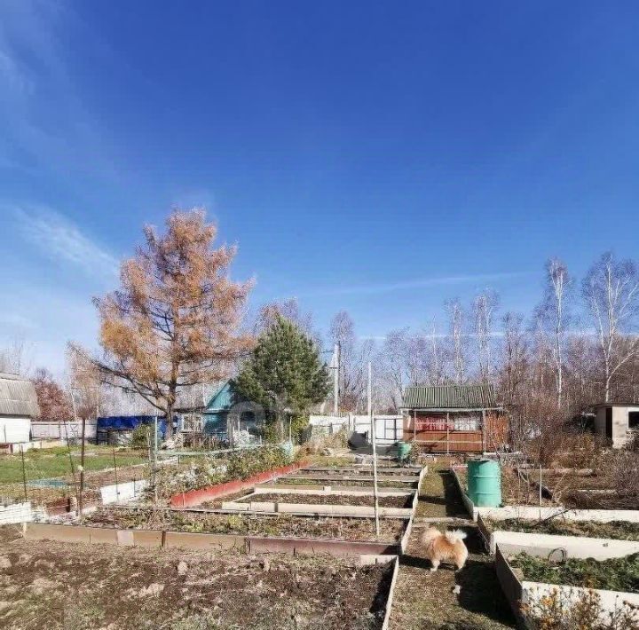 дом г Хабаровск р-н Железнодорожный снт сот Энергомаш-2 фото 10