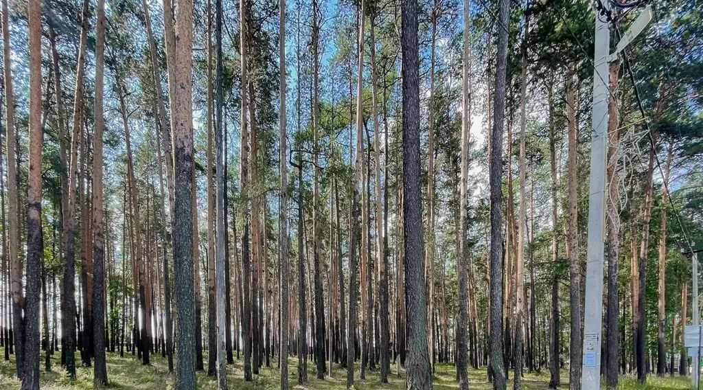 дом г Верхняя Пышма п Кедровое ул Генеральная 38 фото 27