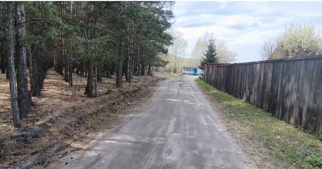 снт Рябинушка ул Школьная Курган фото