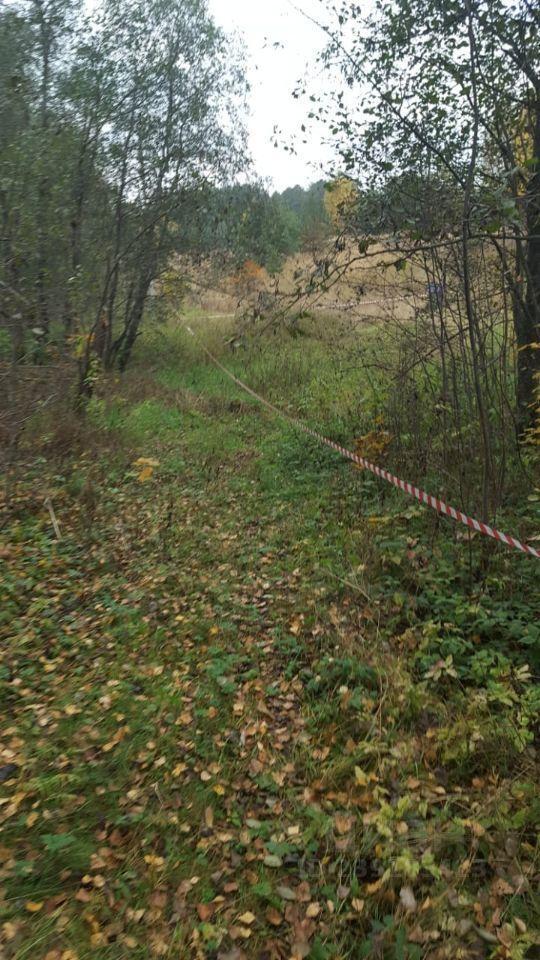 земля городской округ Одинцовский г Звенигород ш Луцинское фото 1