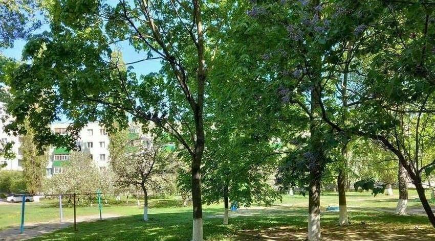 квартира г Старый Оскол мкр Весенний 3 фото 11