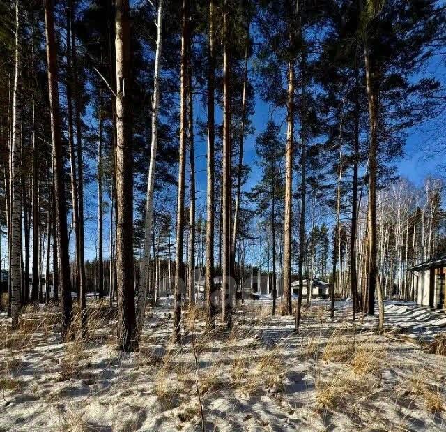 земля г Полевской с Курганово ул Еловая фото 2