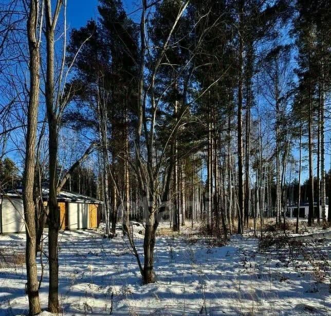 земля г Полевской с Курганово ул Еловая фото 8
