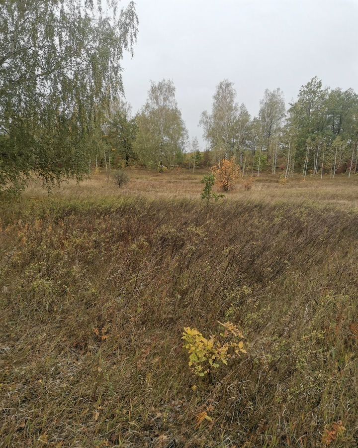 земля г Октябрьский р-н мкр Приозерный фото 1