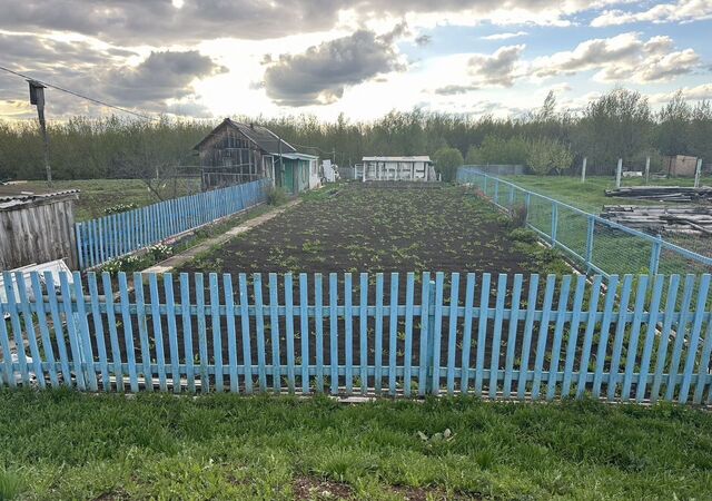 ул Цюрупы фото