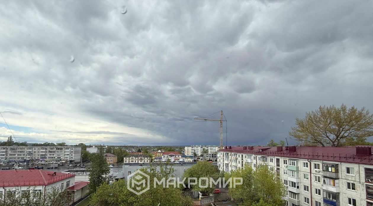 квартира г Брянск р-н Фокинский пер Литвинова 1 фото 19