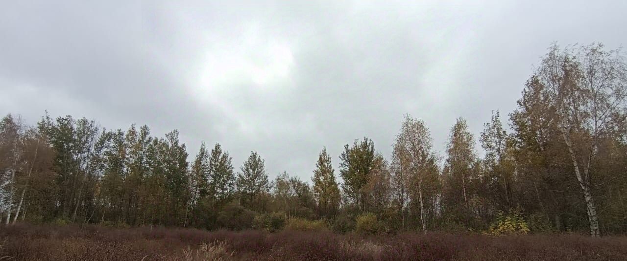 земля г Шатура фото 1