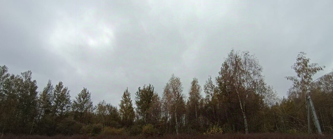 земля г Шатура фото 1