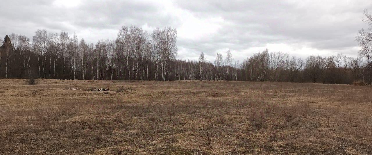 земля г Лосино-Петровский д Савинки фото 1