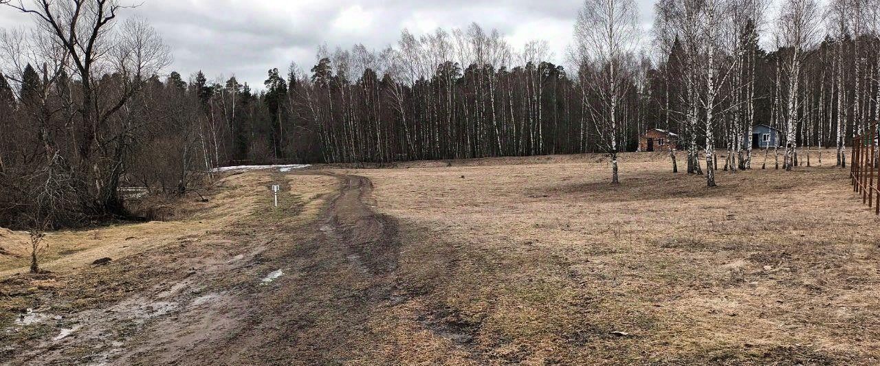 земля г Лосино-Петровский д Савинки снт Савинки фото 1