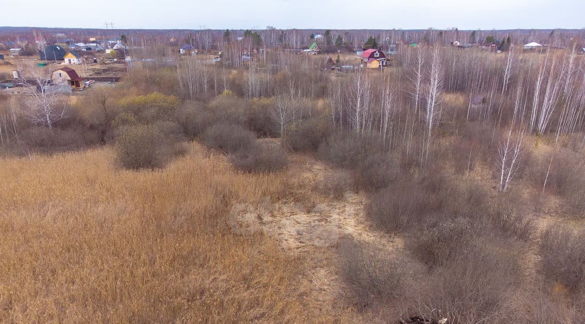 земля г Тюмень р-н Центральный снт Поле чудес ул Зеленая фото 10