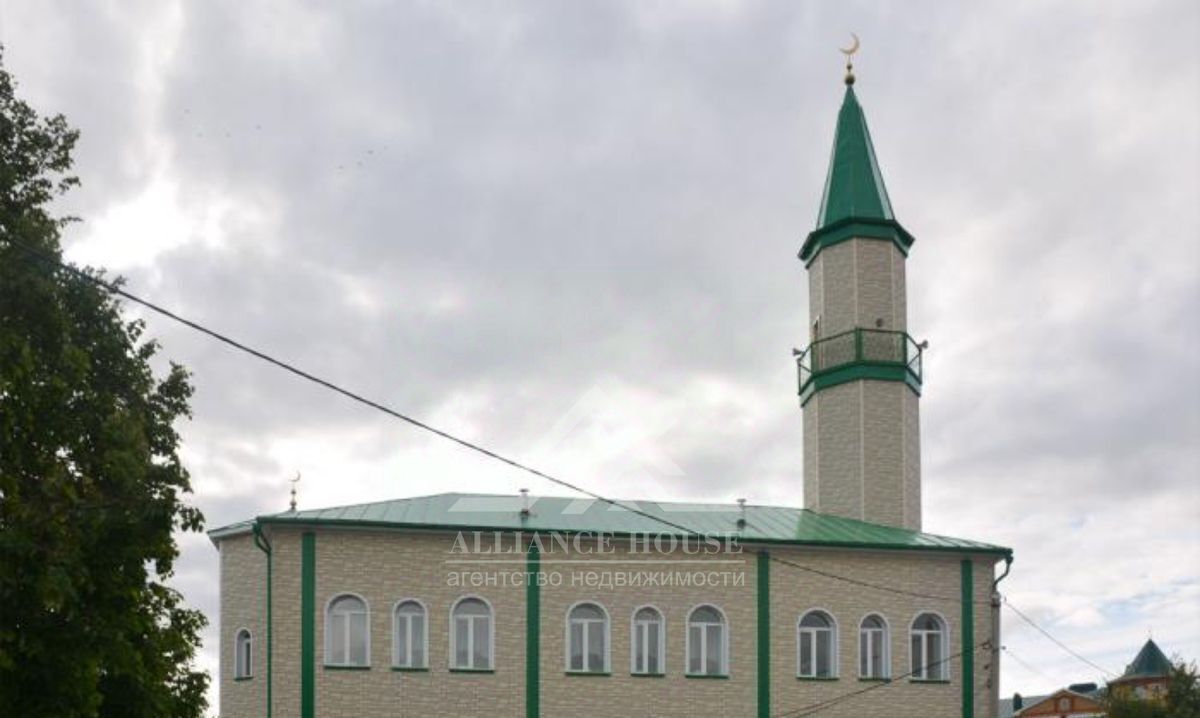 земля р-н Арский г Арск ул. Гатауллы Салихова, 51 фото 10