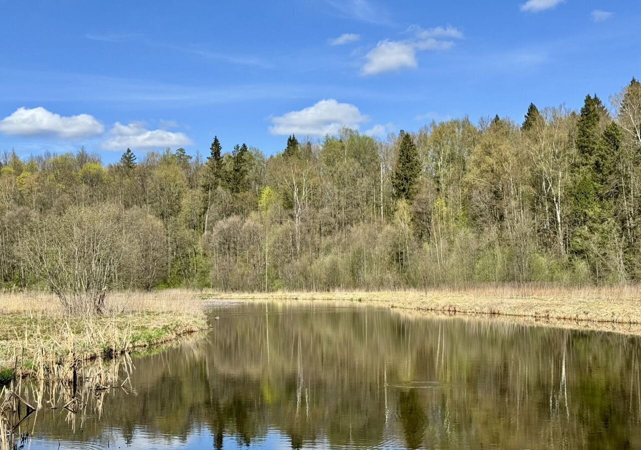 земля г Лобня мкр Луговая ул Садовая 1 17 км, Дмитровское шоссе фото 13