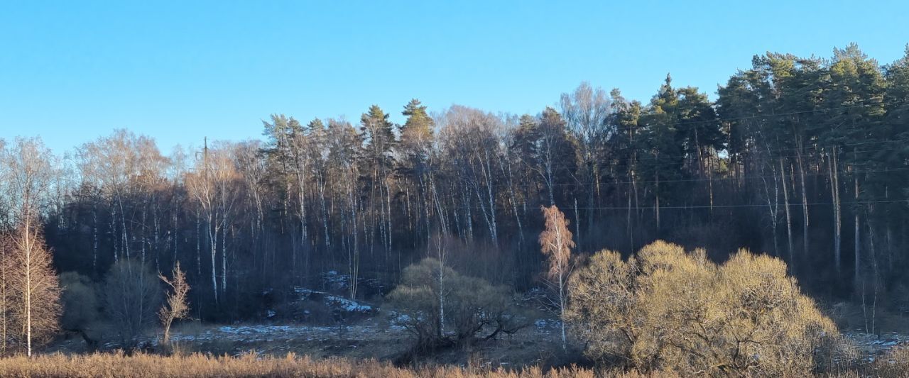 земля г Домодедово д Ивановка Новое Тургенево кп фото 3