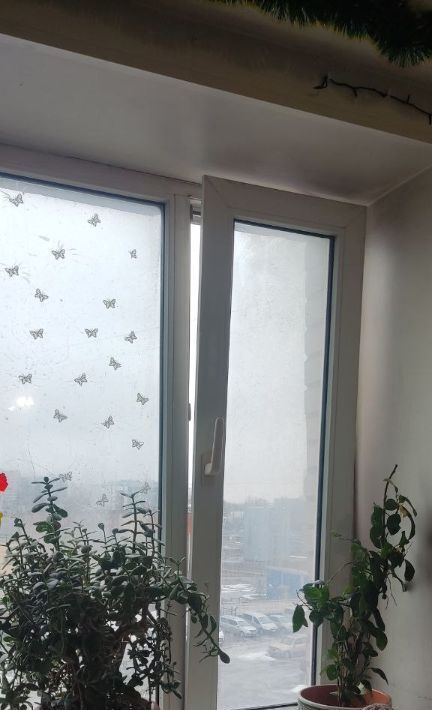 комната г Санкт-Петербург метро Московская ул Штурманская 16 фото 1