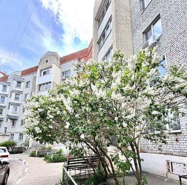 квартира г Белгород Восточный ул Губкина 14а фото 14
