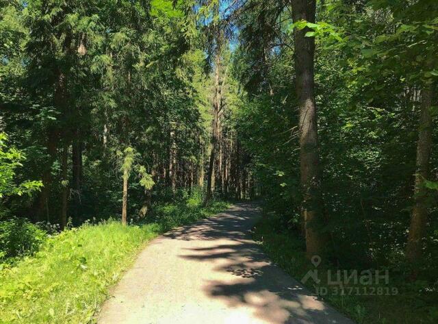 Лисичкин Лес кп, Зеленоград — Крюково, ул. Лисичкина фото