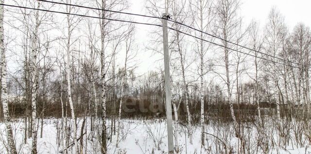 снт Светлое фото