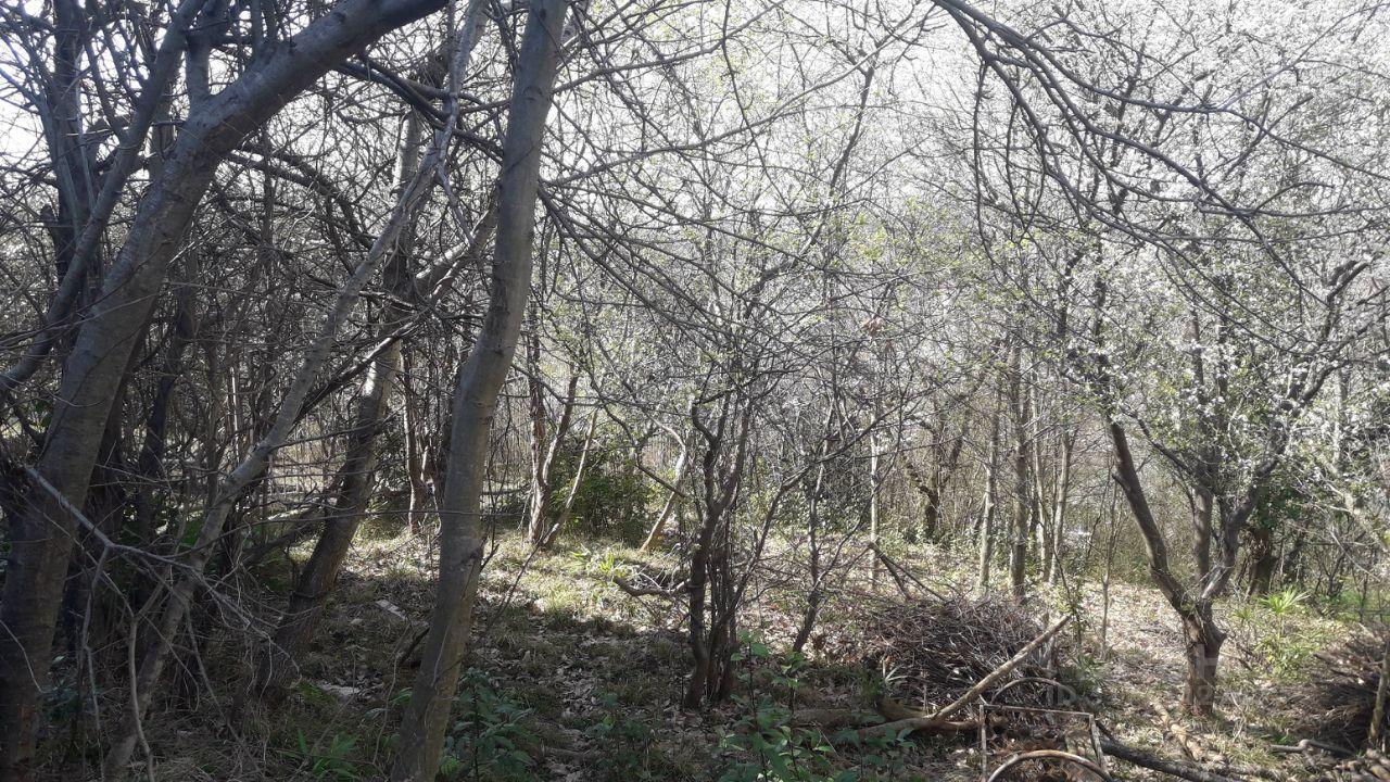 земля г Сочи с Раздольное ул Буковая 3/1 Сочи, Хостинский внутригородской район, 3/1 фото 4