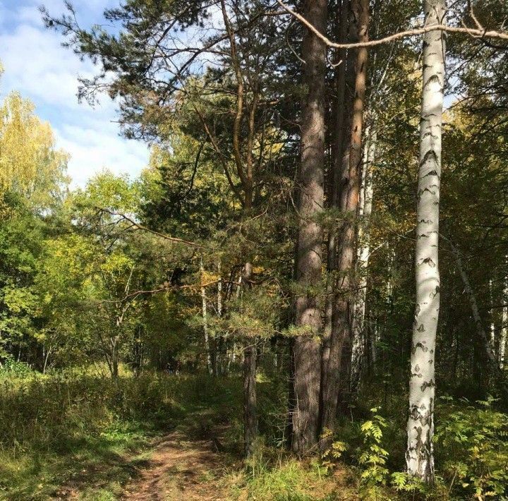 земля г Ревда с Кунгурка ул Рабоче-Крестьянская фото 4