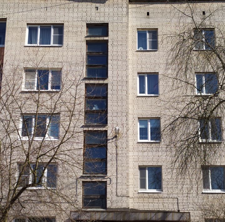 квартира г Сосновый Бор ул Красных Фортов 16 фото 17