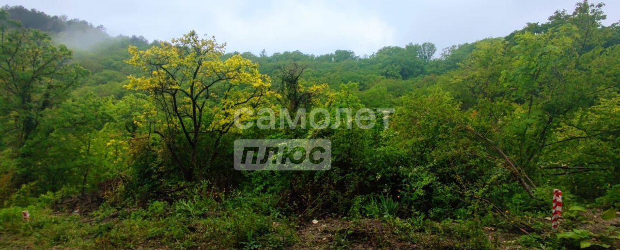 земля р-н Туапсинский г Туапсе СТ Южная горка фото 4