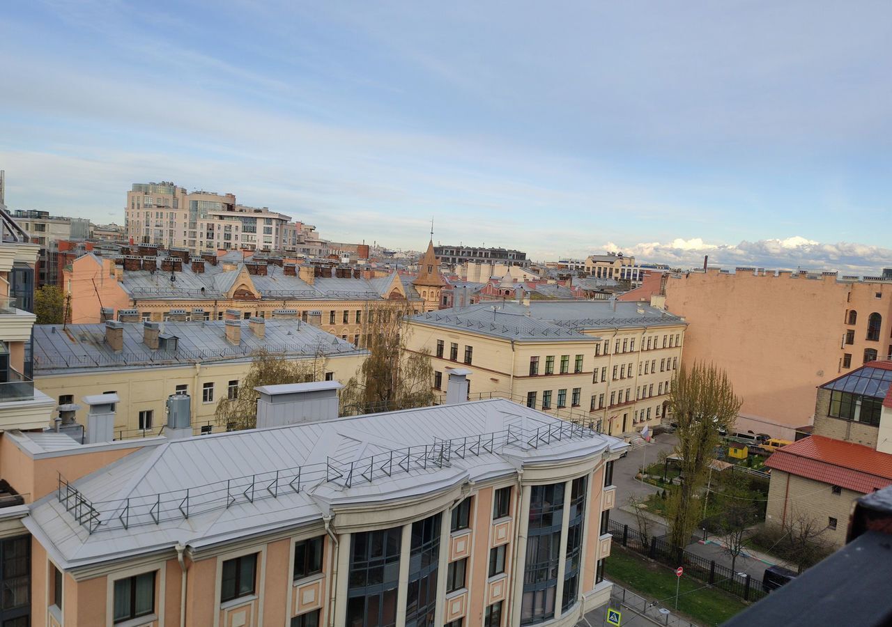 квартира г Санкт-Петербург метро Чкаловская ул Глухая Зеленина 6 фото 18