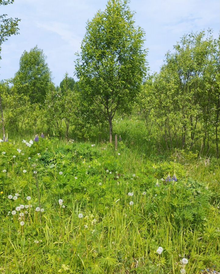 земля р-н Чудовский г Чудово ул Новолукинская городское поселение город Чудово фото 3