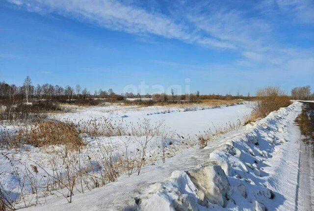 10-й км Велижанского тракта фото