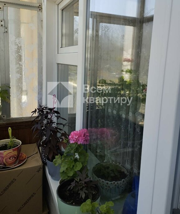 квартира г Новосибирск Заельцовская ул Солидарности 81 фото 5