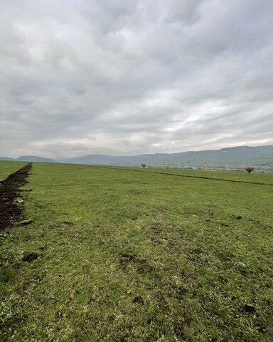 ул Х.Борлакова Краснокурганское муниципальное образование фото